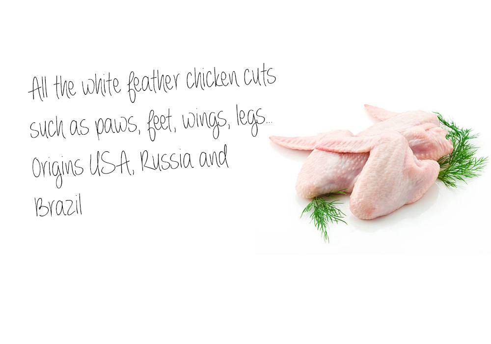 All the white feather chicken cuts such as paws, feet, wings, legs… Origins USA, Russia and  Brazil